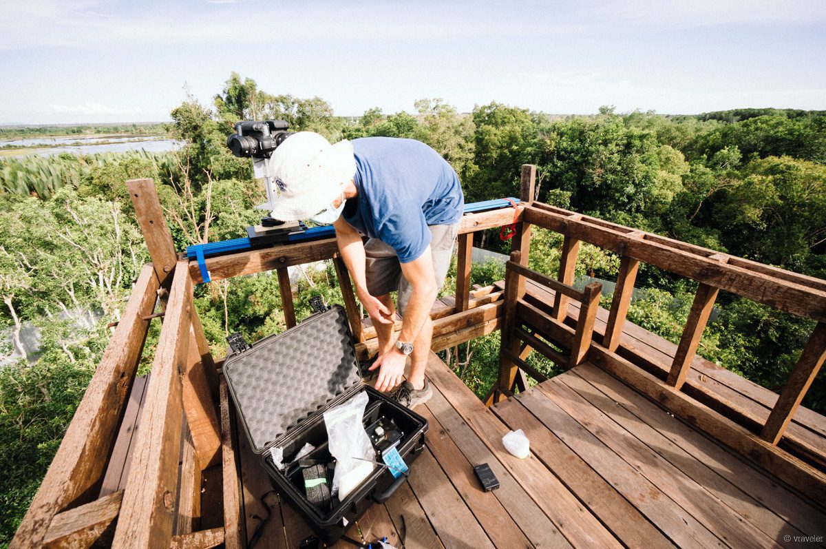 360° Orangutan School 3