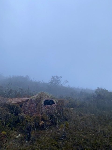 Leuser hide